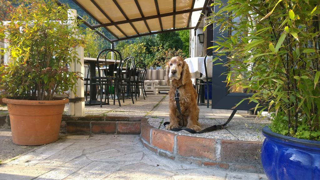 Hotel Cubamia Romano D'Ezzelino Ngoại thất bức ảnh